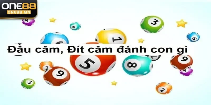 đầu đít lô câm